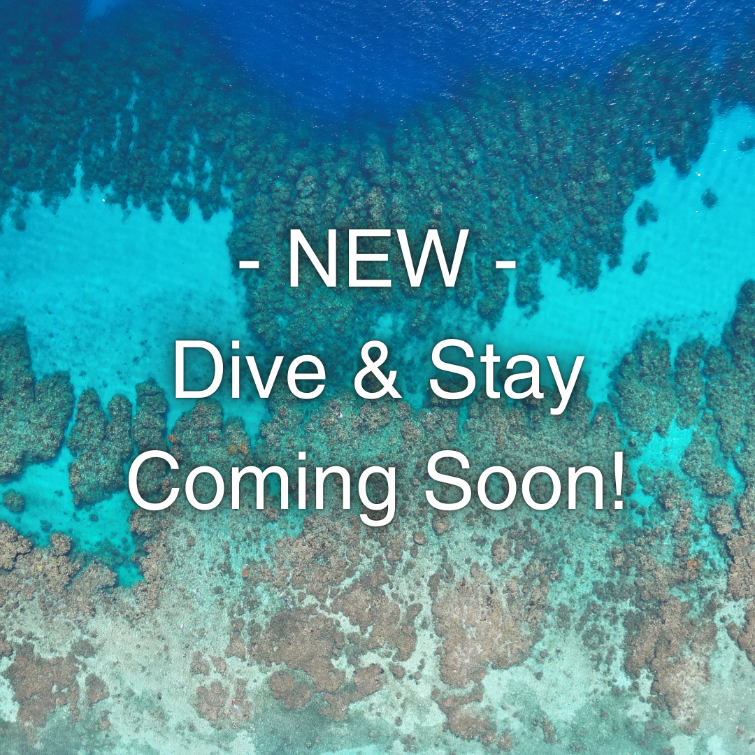 NEW Dive & Stay Coming Soon